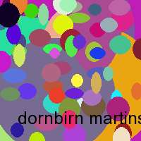 dornbirn martinspark hotel