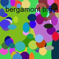 bergamont big air